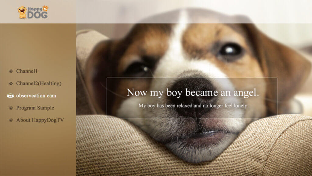 Happy Dog TV