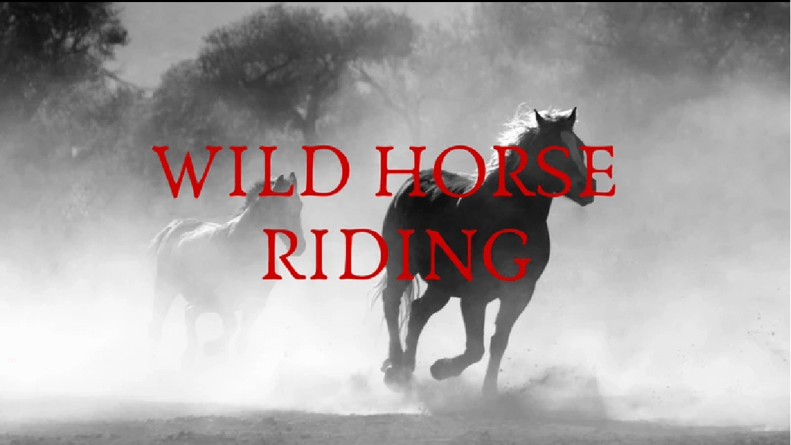Wild Horse Riding